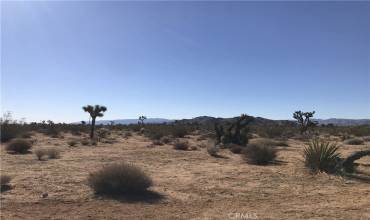 0 La Crescenta Dr, Yucca Valley, California 92284, ,Land,Buy,0 La Crescenta Dr,DW24197420