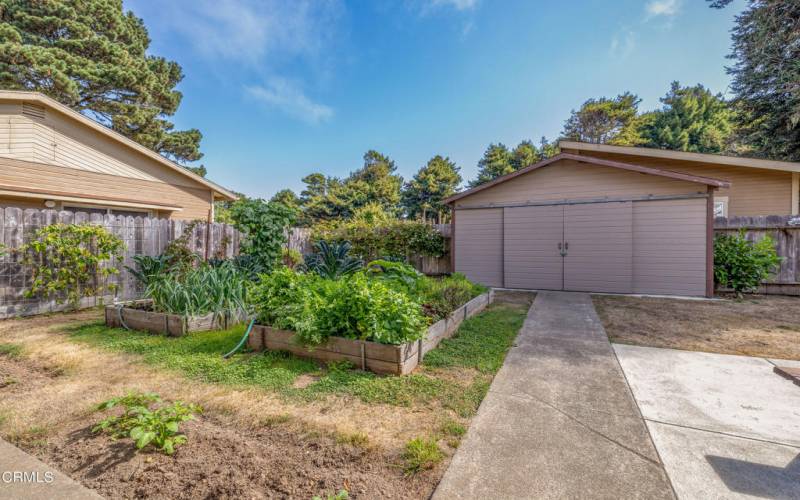 Backyard Garden