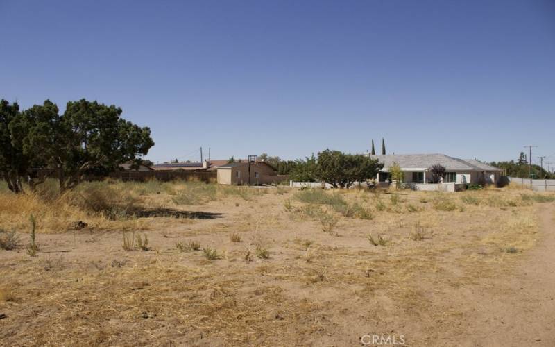 Empty land- backyard