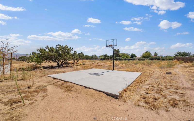 Half-court basketball hoop