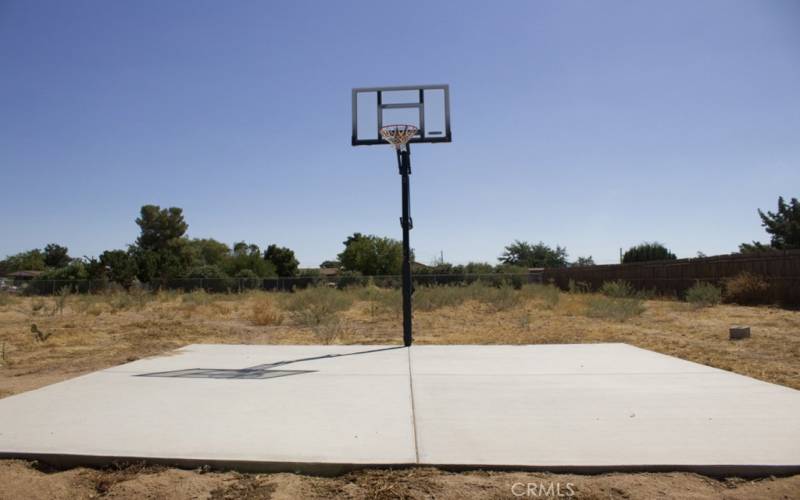 Half-court basketball hoop in the backyard