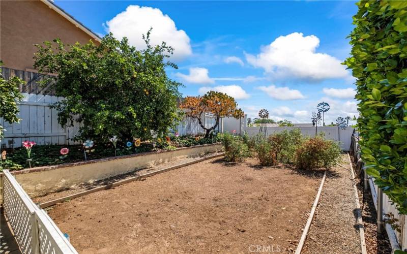 Garden area with a view