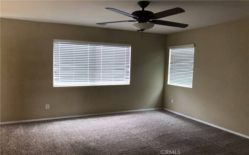 Family Room, Rear and Side Yard Windows - Ceiling Fan with Light Fixture