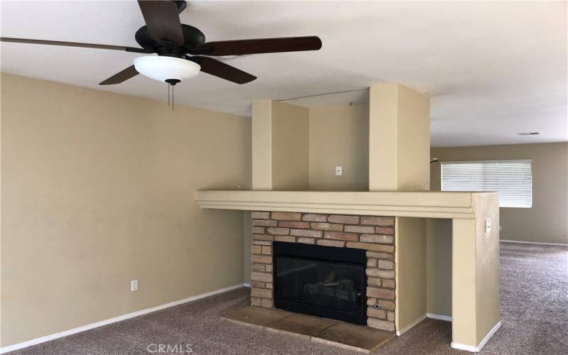 Family Room Fireplace and Entertainment Niche