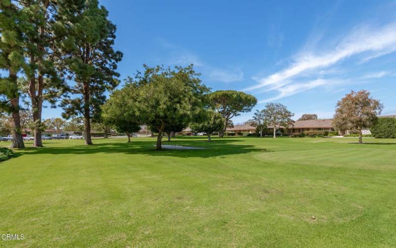 31-web-or-mls-31 - Huneme Bay Golf Cours