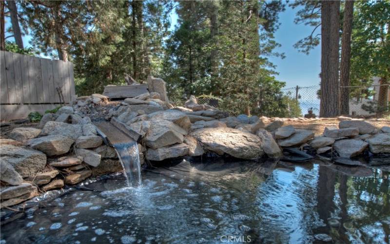 Pond with a peak-a-boo view of the city.