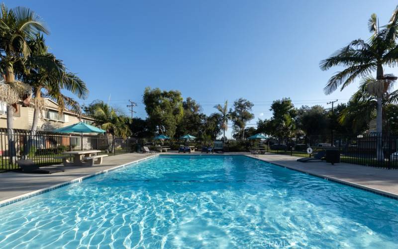 Huge refreshing pool.  Laps anyone?