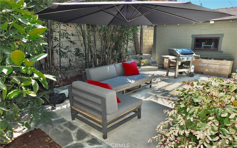 Inviting backyard adorned with bamboo trees surrounding a charming cement patio boarded with slat pavers, perfect for relaxation and entertaining guests