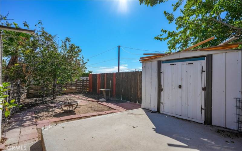 Shed and tree