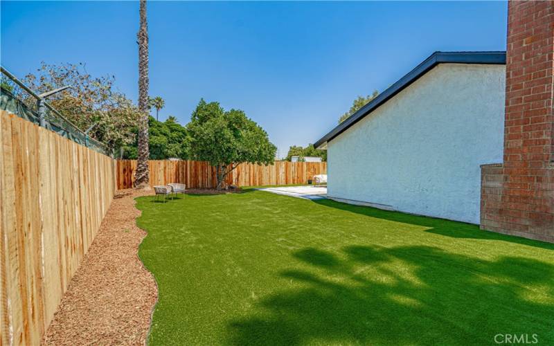 Side Yard / Turf