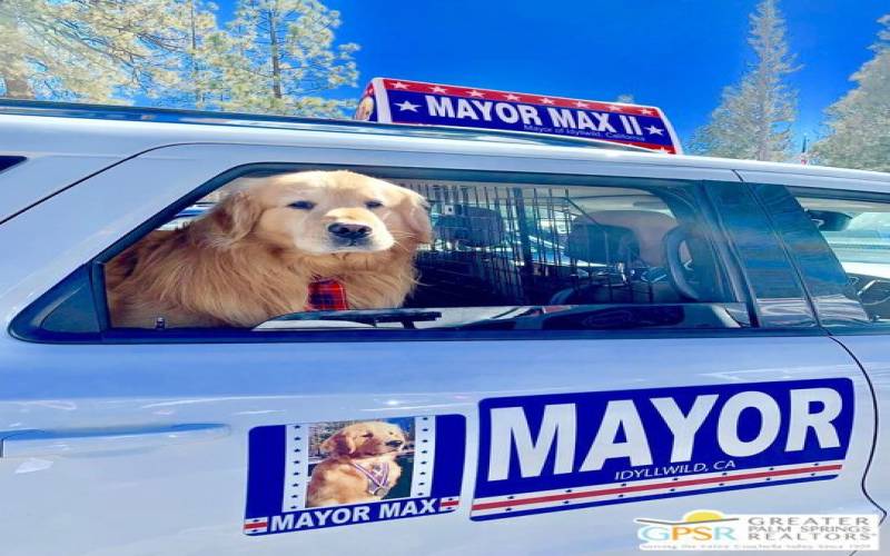 Mayor Max