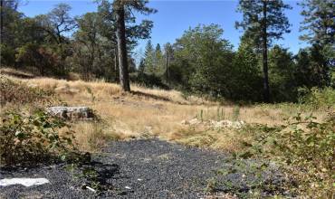 257 Black Bart Road, Oroville, California 95966, ,Land,Buy,257 Black Bart Road,OR24199853