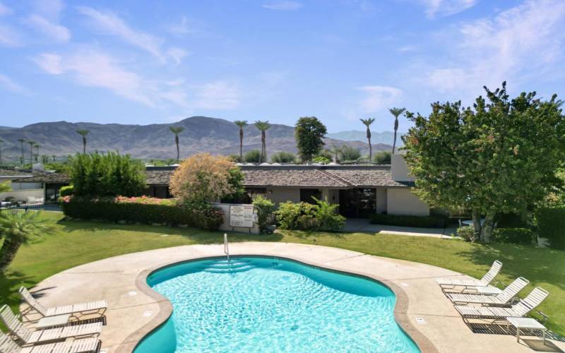 Pool and Back Patio View