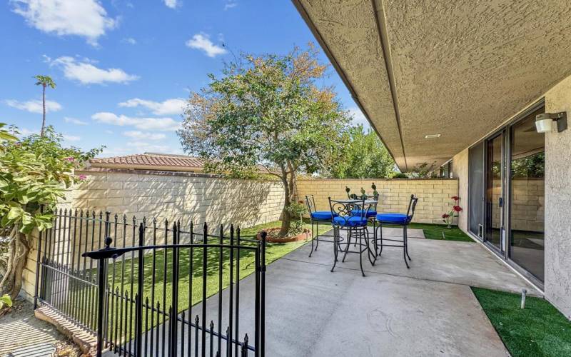 Patio From Primary Room