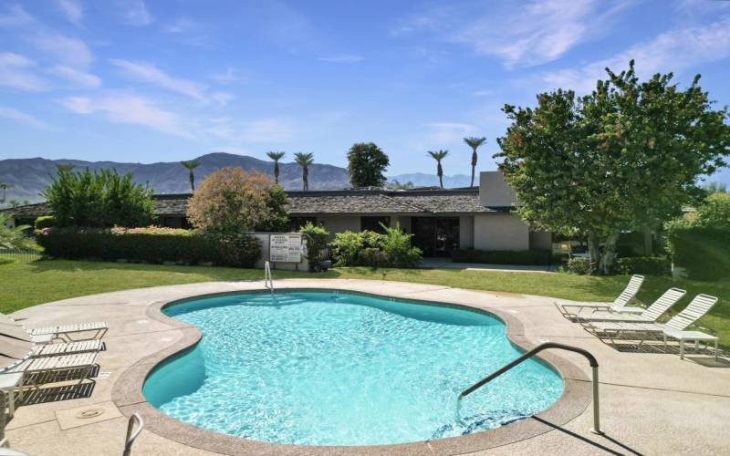 Pool and Back Patio View