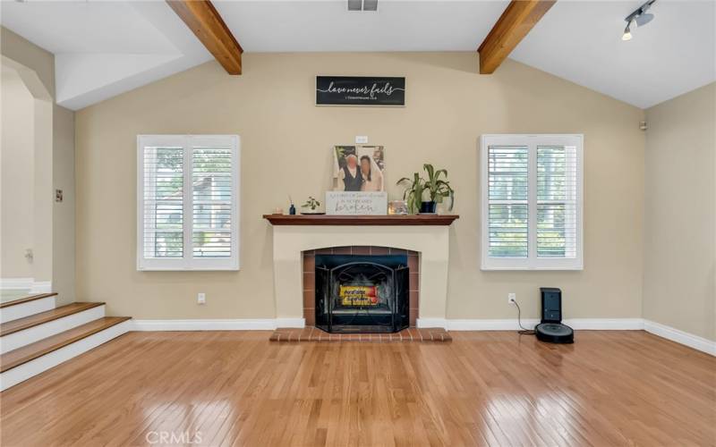 Magnified view of the family room fireplace which was replicated from the living room fireplace.