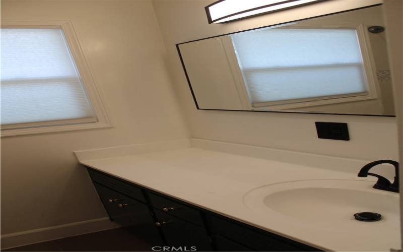 Main Bathroom with Plenty of Counter Space