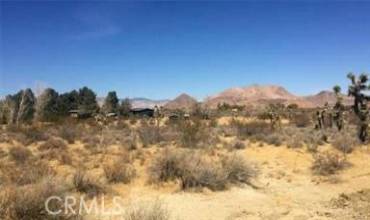 7494 Mojave Tropico Rd, Mojave, California 93501, ,Land,Buy,7494 Mojave Tropico Rd,PV24200144