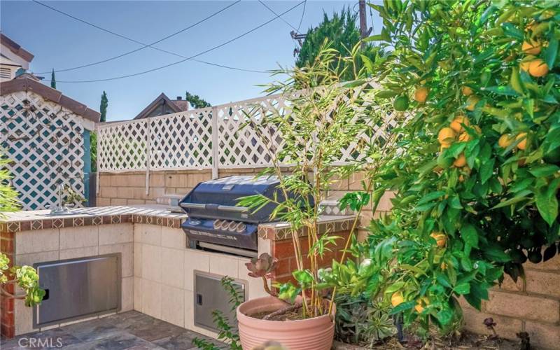 Built-in BBQ backyard