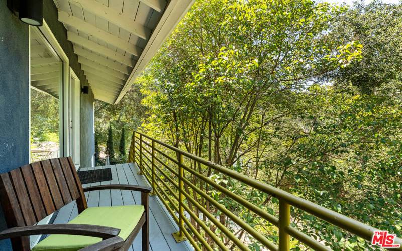 Front Balcony with Tree Top Views