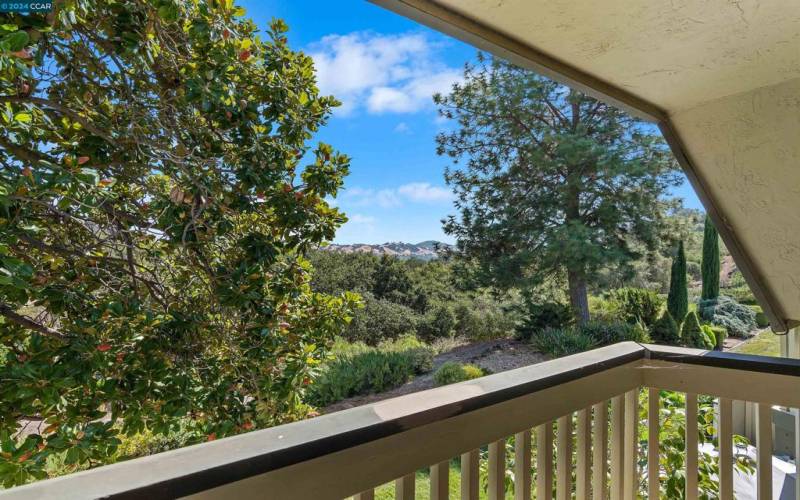 Primary Bedroom Balcony Views