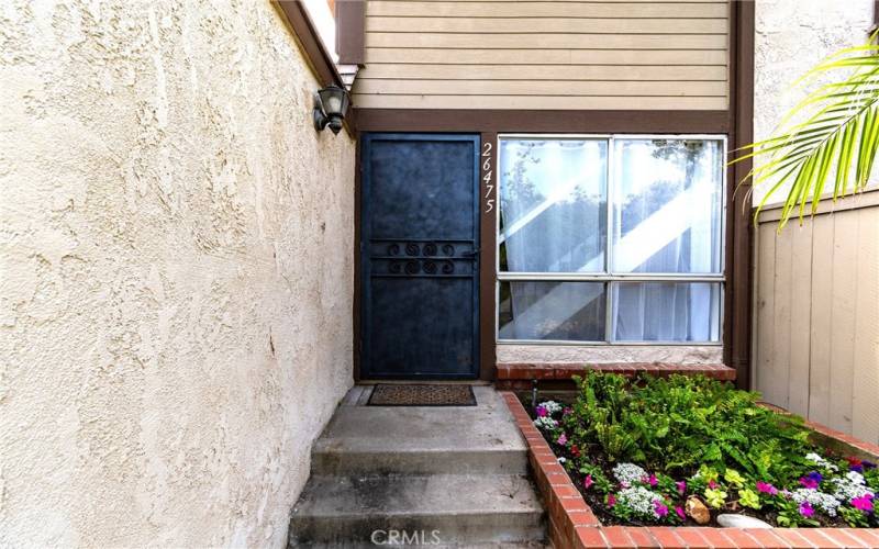 Security screen door.