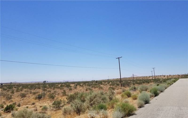 Power lines along Bishop Dr