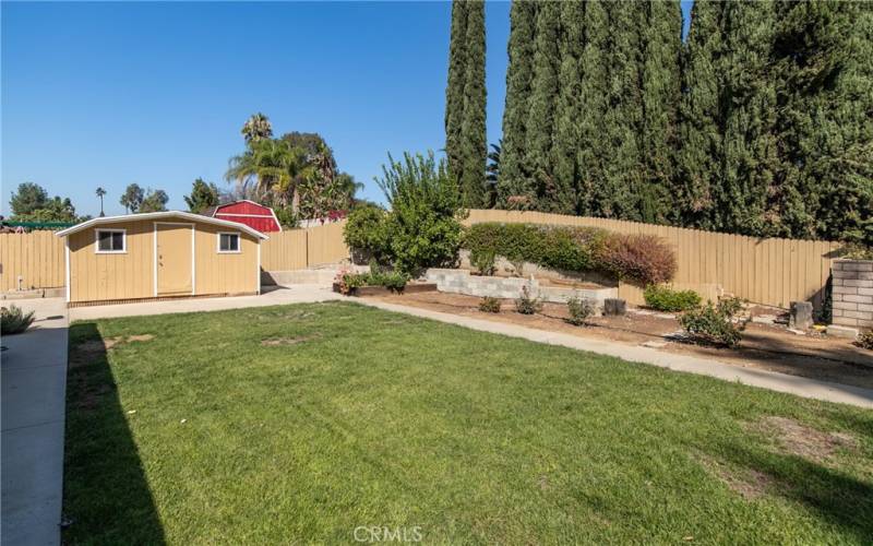 Backyard.  Shed is large and perfect for storage.