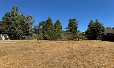 1016 Coldwater Drive, Frazier Park, California 93225, ,Land,Buy,1016 Coldwater Drive,SR24200582