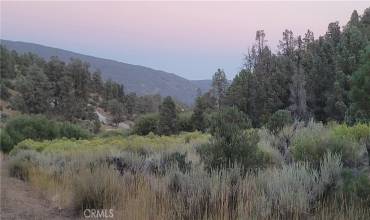 32897 Seymour Canyon Road, Frazier Park, California 93225, ,Land,Buy,32897 Seymour Canyon Road,SR24199507