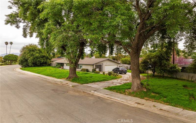 Long driveway and mature trees.