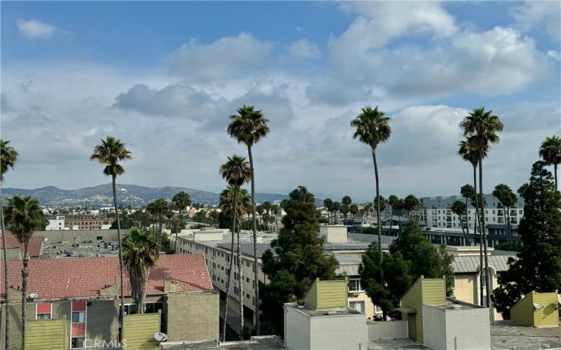 Hills, City& Palms Views