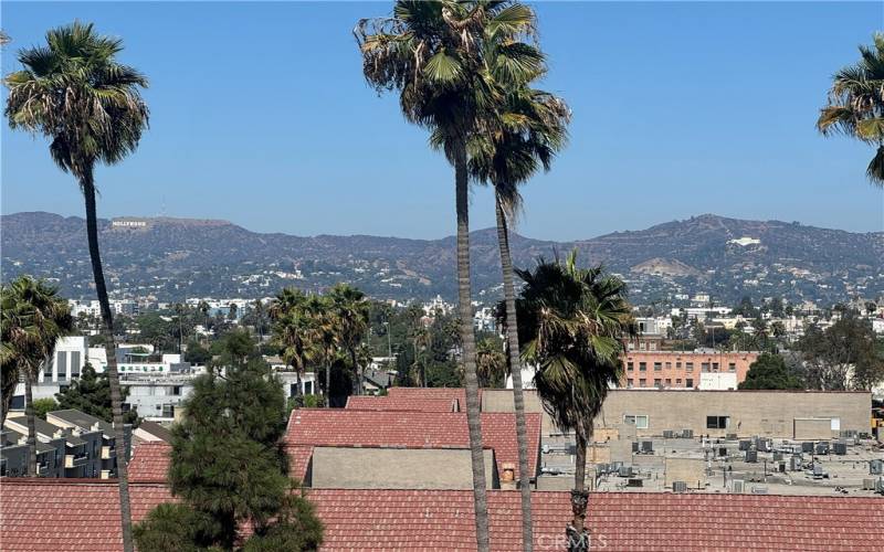 Hollywood Sign & Griffith Observatory