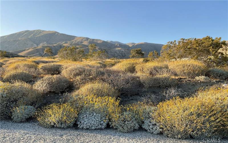 Gorgeous Desert Views