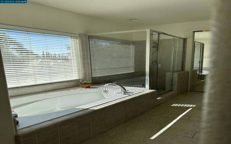 Master Suite Bath