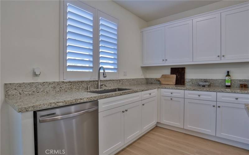 Stainless dishwasher and farm sink.