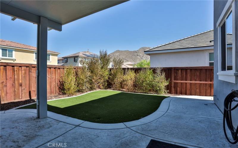 Back yard is low maintenance with artificial turf.