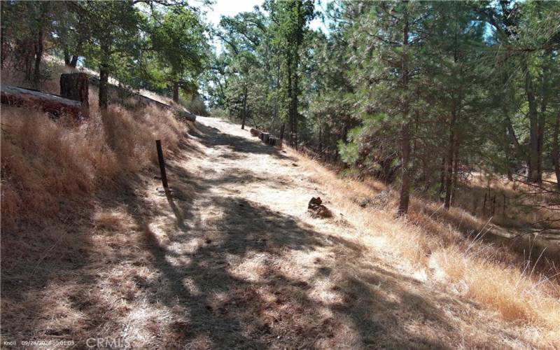 Road into the property