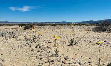 0 Stormy Road, 29 Palms, California 92277, ,Land,Buy,0 Stormy Road,JT24201053