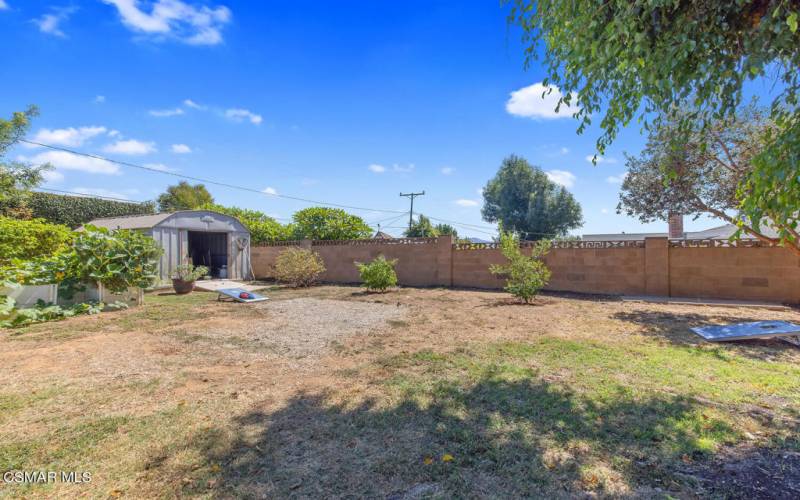 Huge Backyard