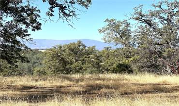 16173 Nugget Road, Corning, California 96021, ,Land,Buy,16173 Nugget Road,SN24201142