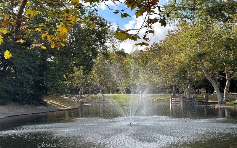 Enjoy nature and fun at Irvine Regional Park