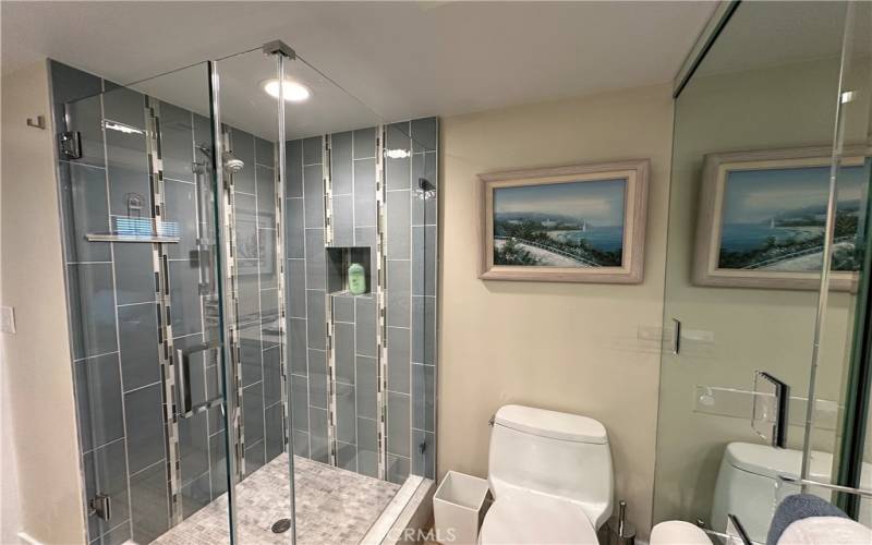 Main/Master shower