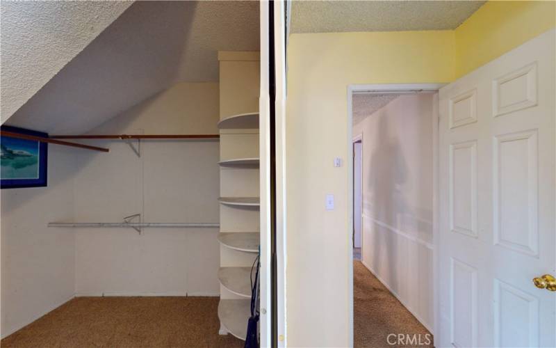 Oversized Closet Bedroom #5