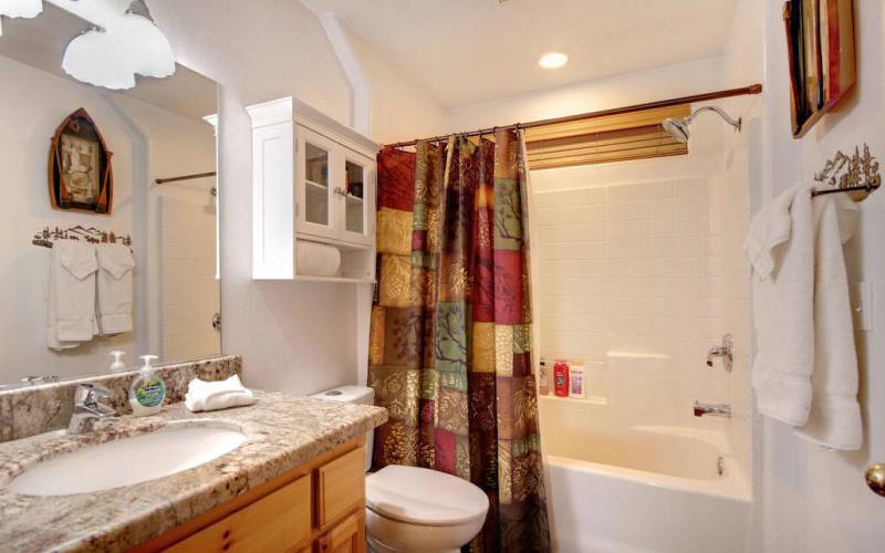 guest-bathroom_54025043525_o