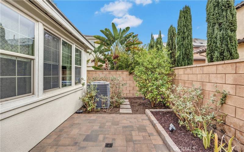 Backyard with fruit trees.