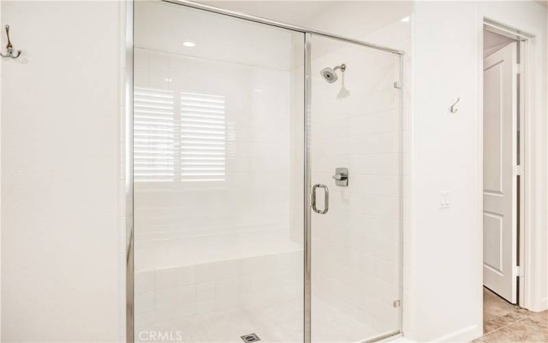 Primary walk-in shower.