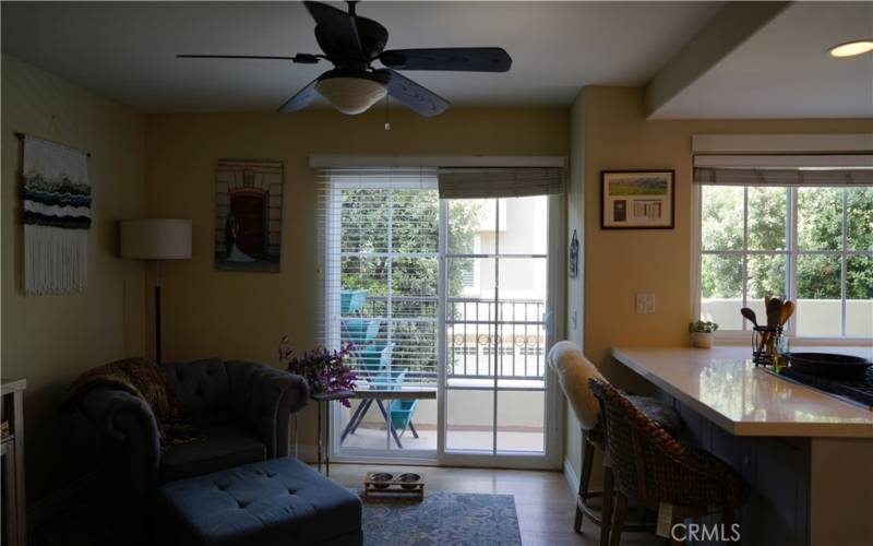 Doors to balcony off of family room/kitchen