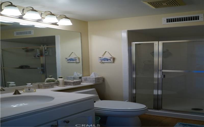 Upstairs guest bathroom with walk in shower