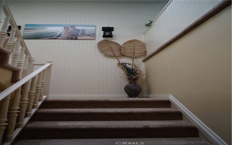 Carpeted stairs, landing